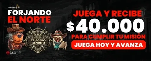 Bono de Recarga Diaria promotion